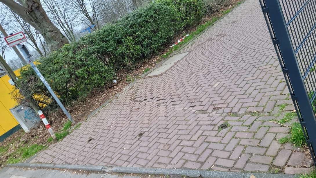 Bild zu gemeldetem Anliegen vom *2024-03-04 08:41:07