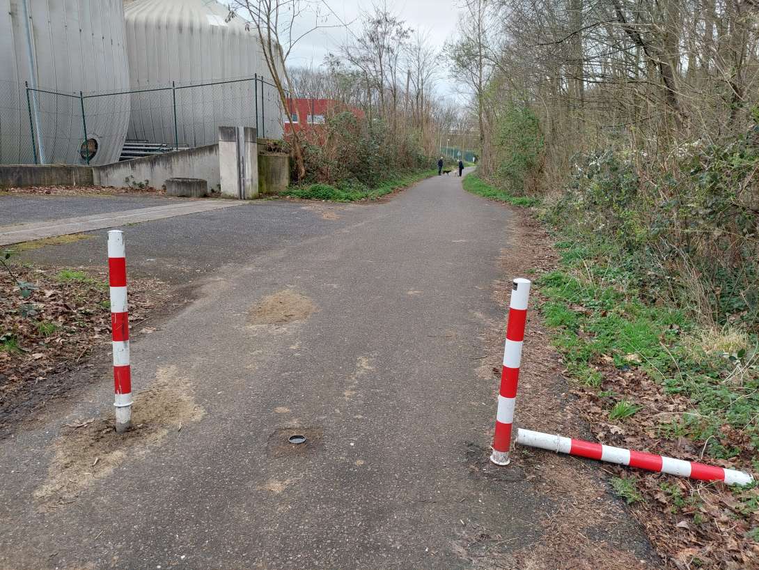 Bild zu gemeldetem Anliegen vom *2024-03-15 09:31:07