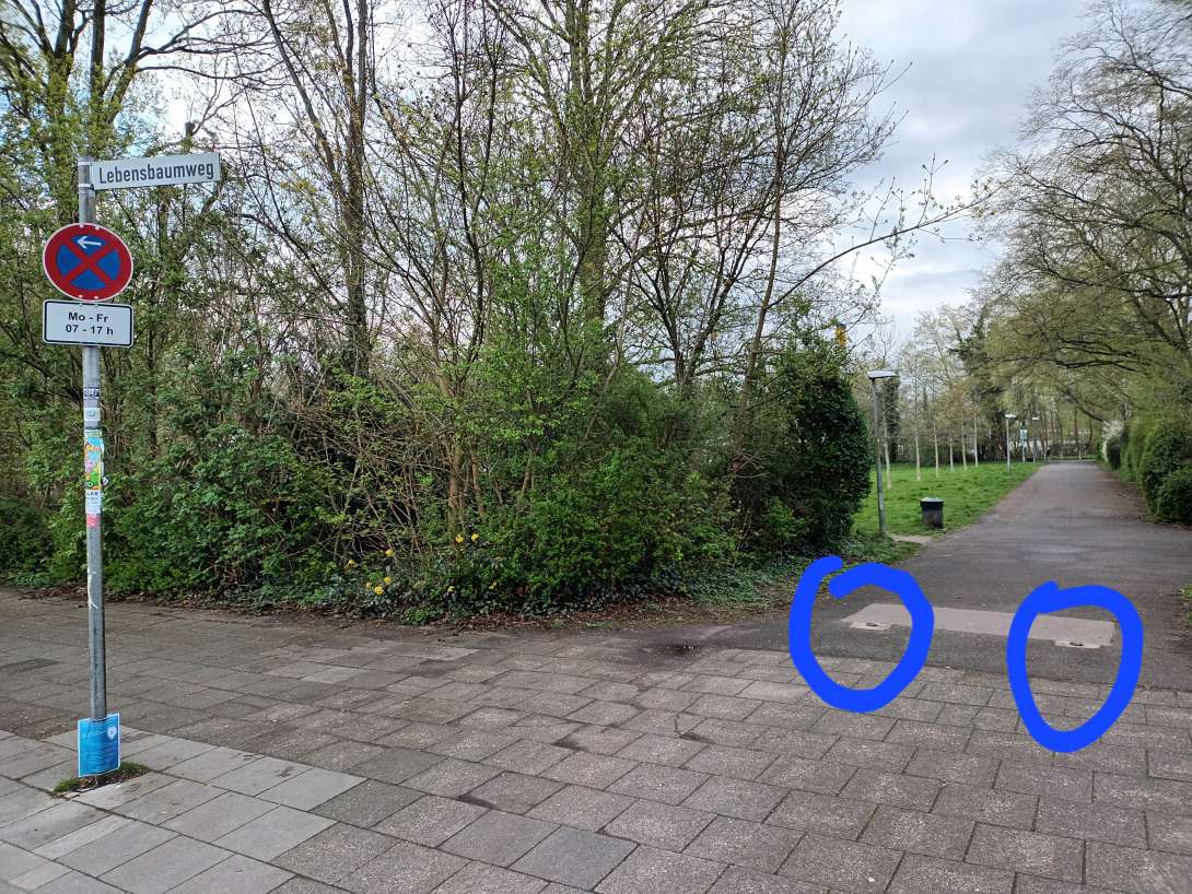 Bild zu gemeldetem Anliegen vom *2024-03-26 06:43:07
