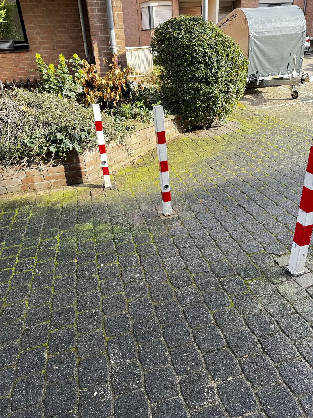 Bild zu gemeldetem Anliegen vom *2024-03-01 11:03:21