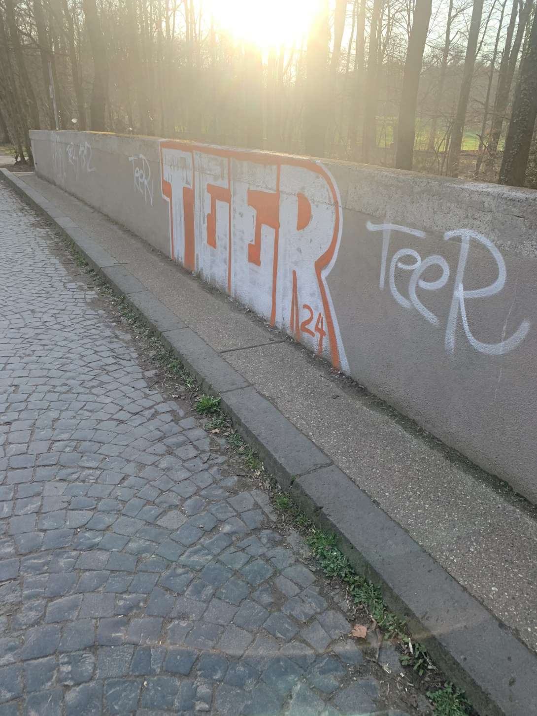 Bild zu gemeldetem Anliegen vom *2024-03-05 11:45:03