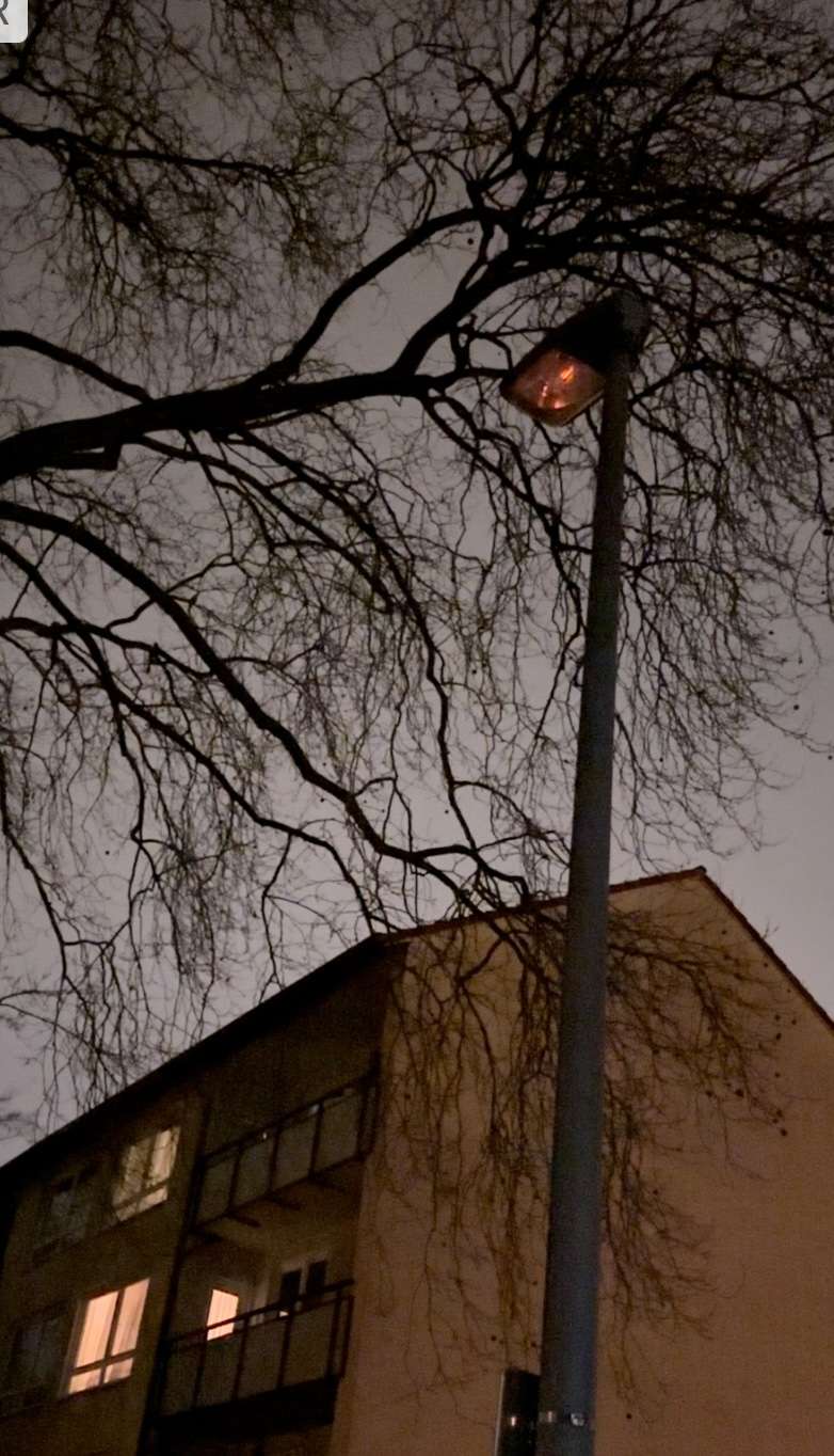 Bild zu gemeldetem Anliegen vom *2024-03-08 00:27:02
