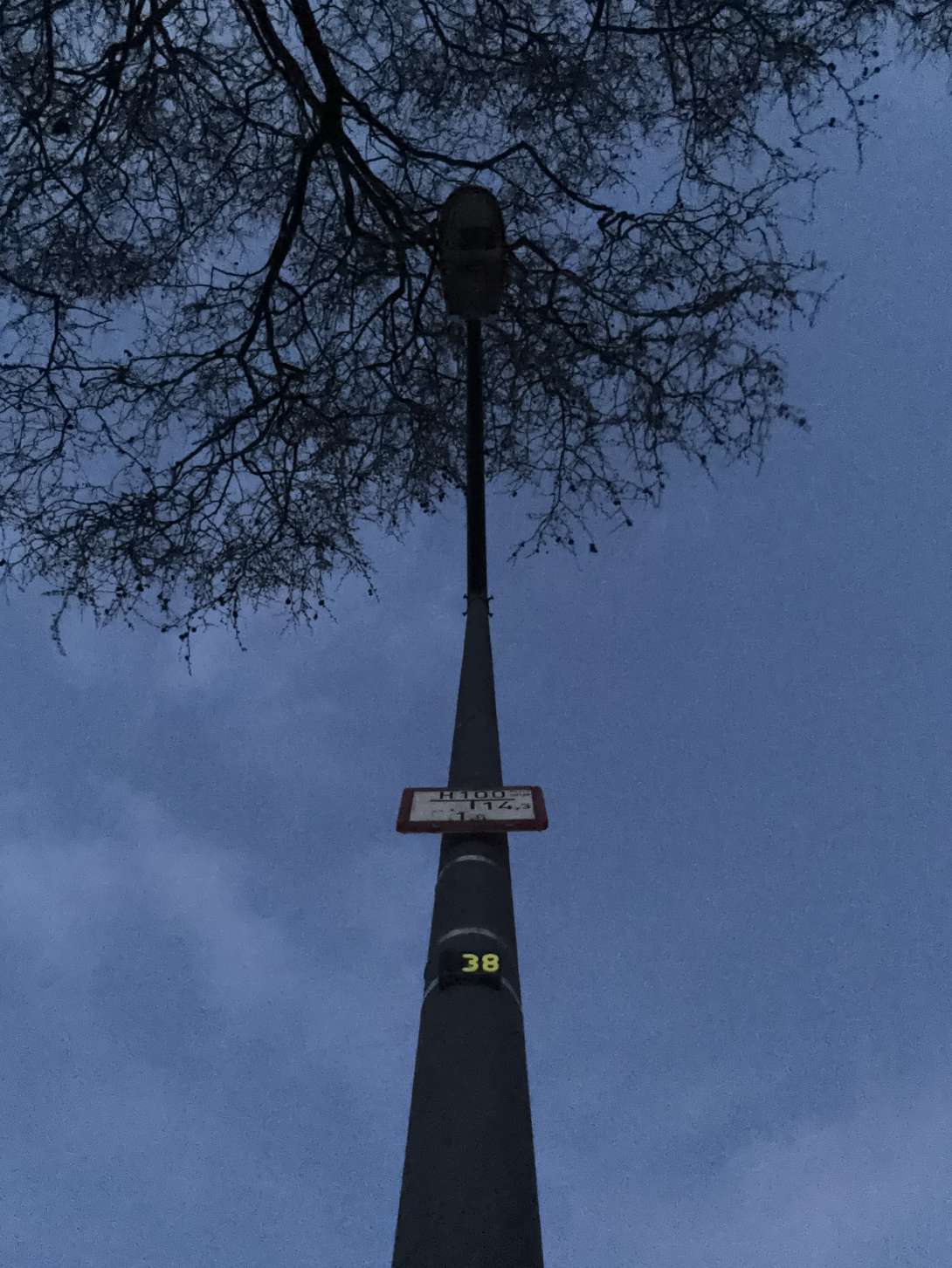 Bild zu gemeldetem Anliegen vom *2024-03-24 19:23:23