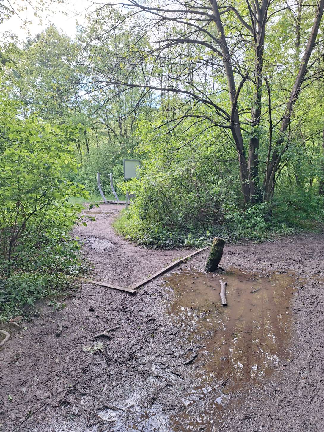Bild zu gemeldetem Anliegen vom *2024-04-22 14:11:53