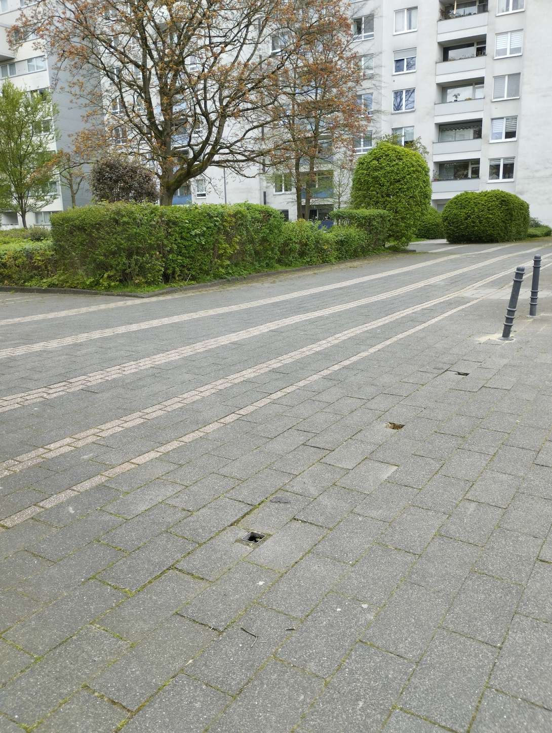 Bild zu gemeldetem Anliegen vom *2024-04-11 22:03:23