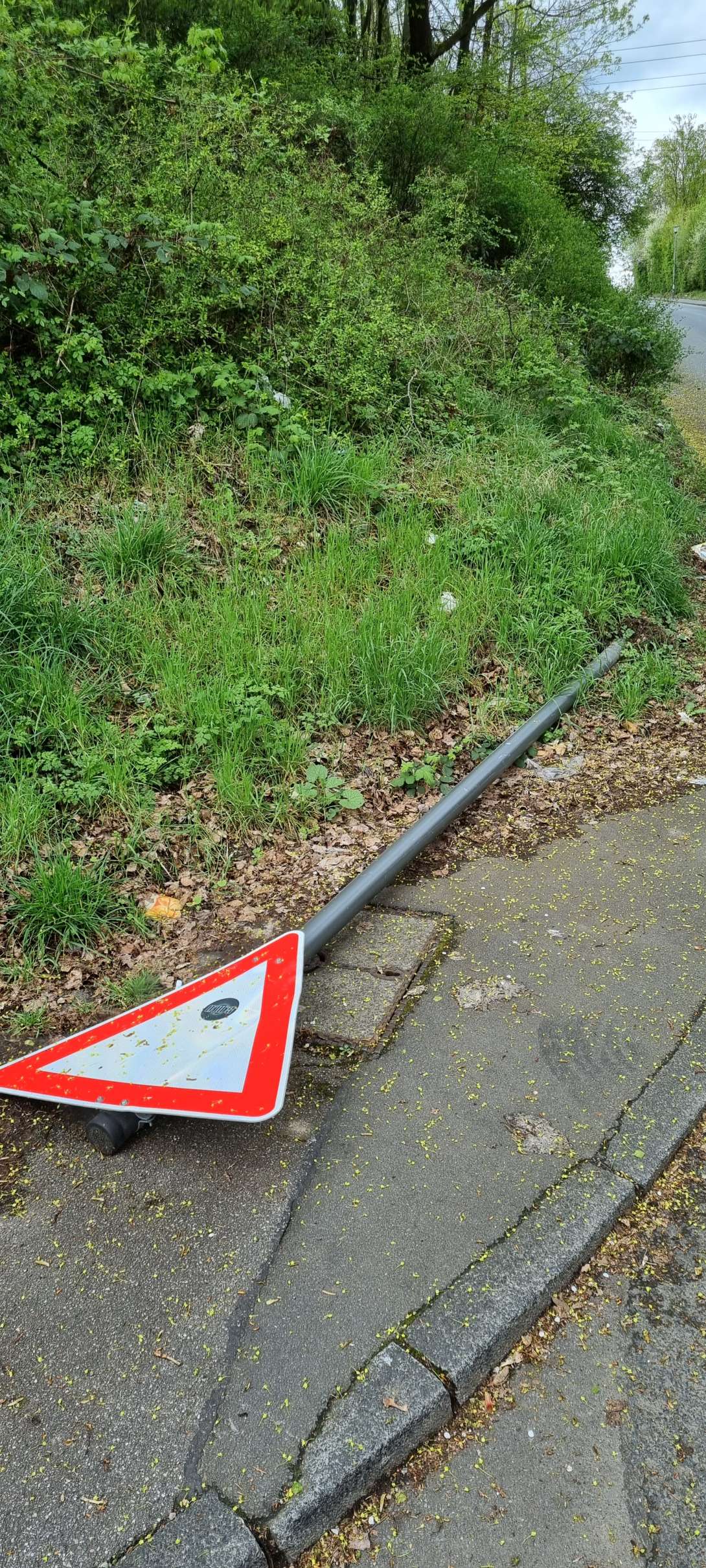 Bild zu gemeldetem Anliegen vom *2024-04-02 12:45:34