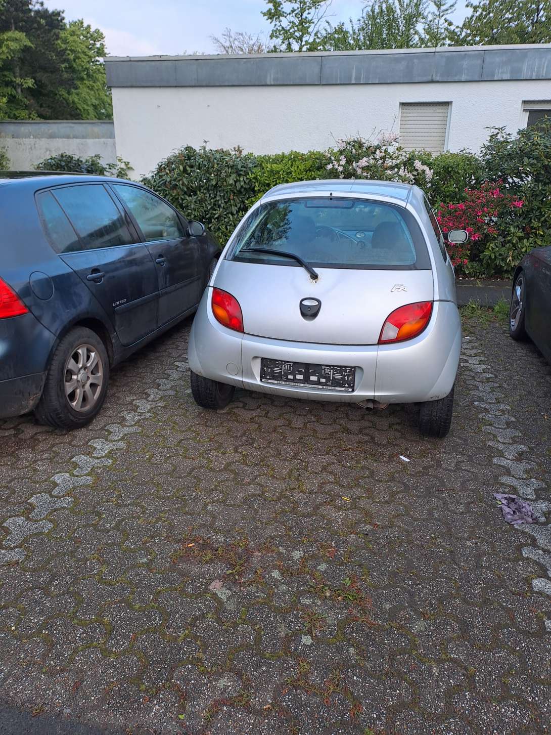 Bild zu gemeldetem Anliegen vom *2024-04-25 06:28:04
