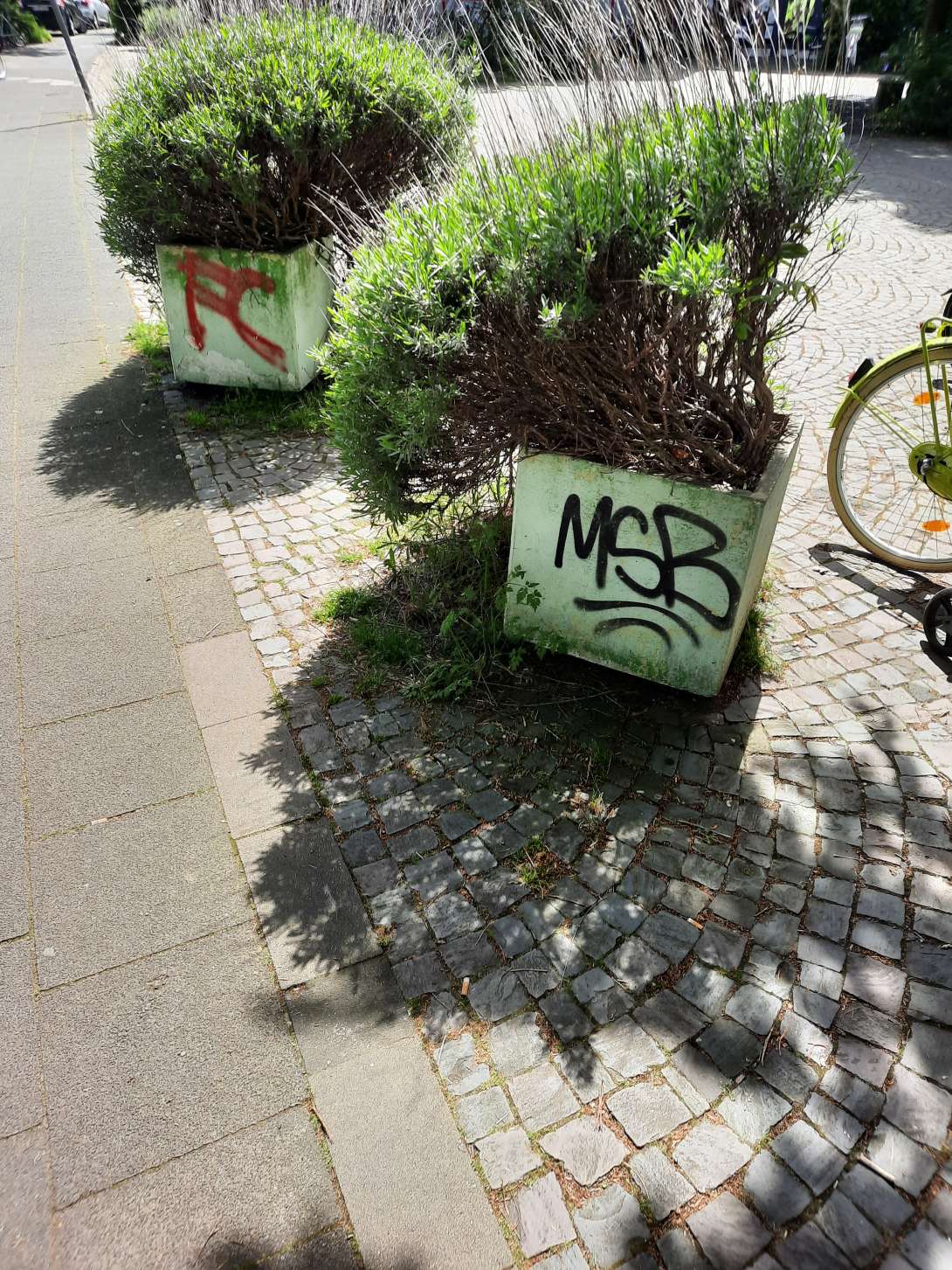 Bild zu gemeldetem Anliegen vom *2024-05-02 14:07:32