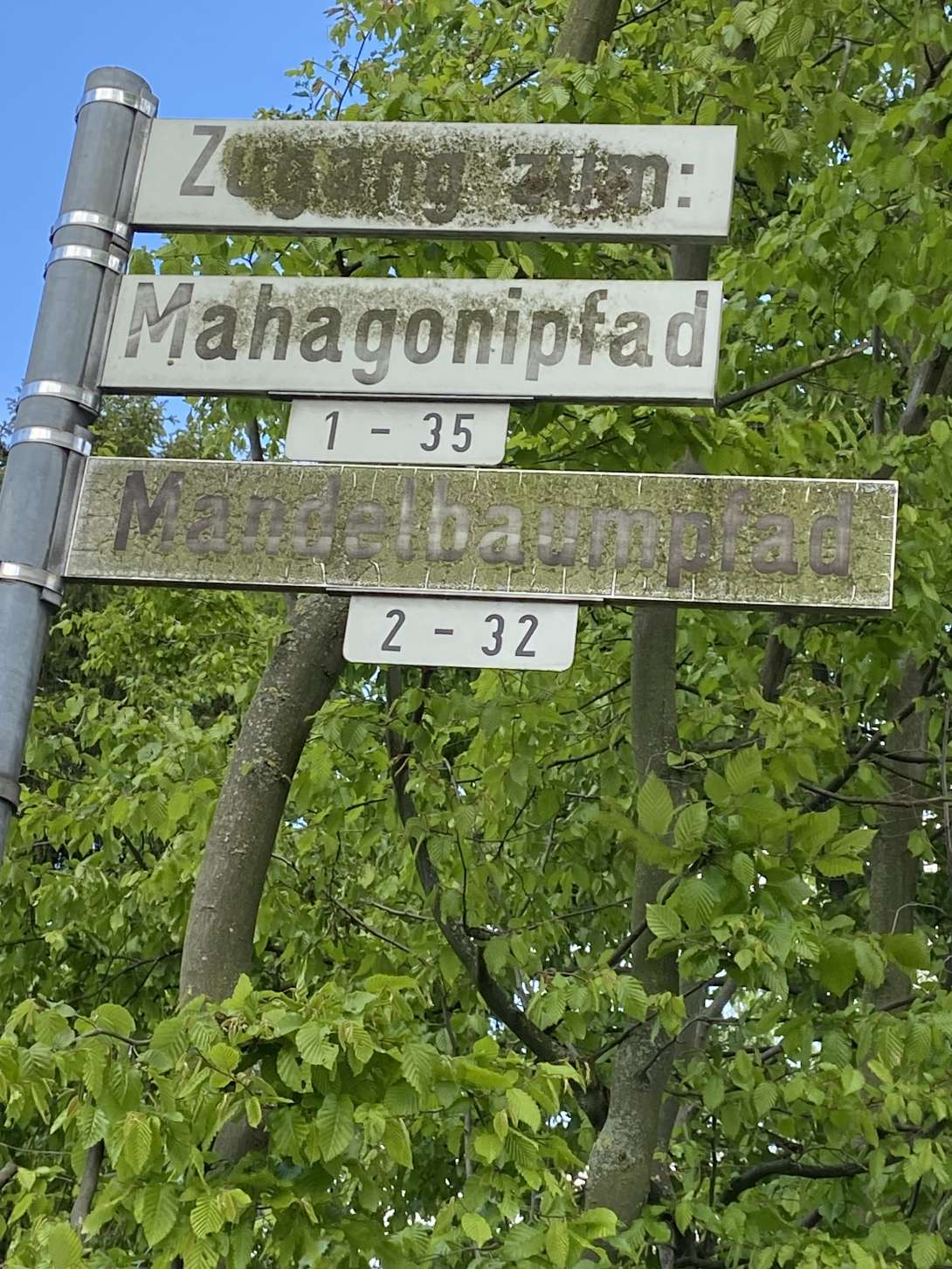 Bild zu gemeldetem Anliegen vom *2024-04-23 18:46:47