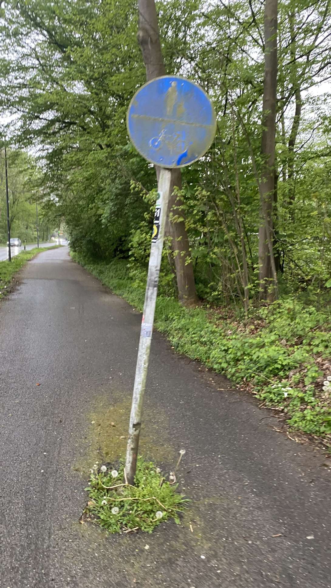 Bild zu gemeldetem Anliegen vom *2024-04-11 19:10:52