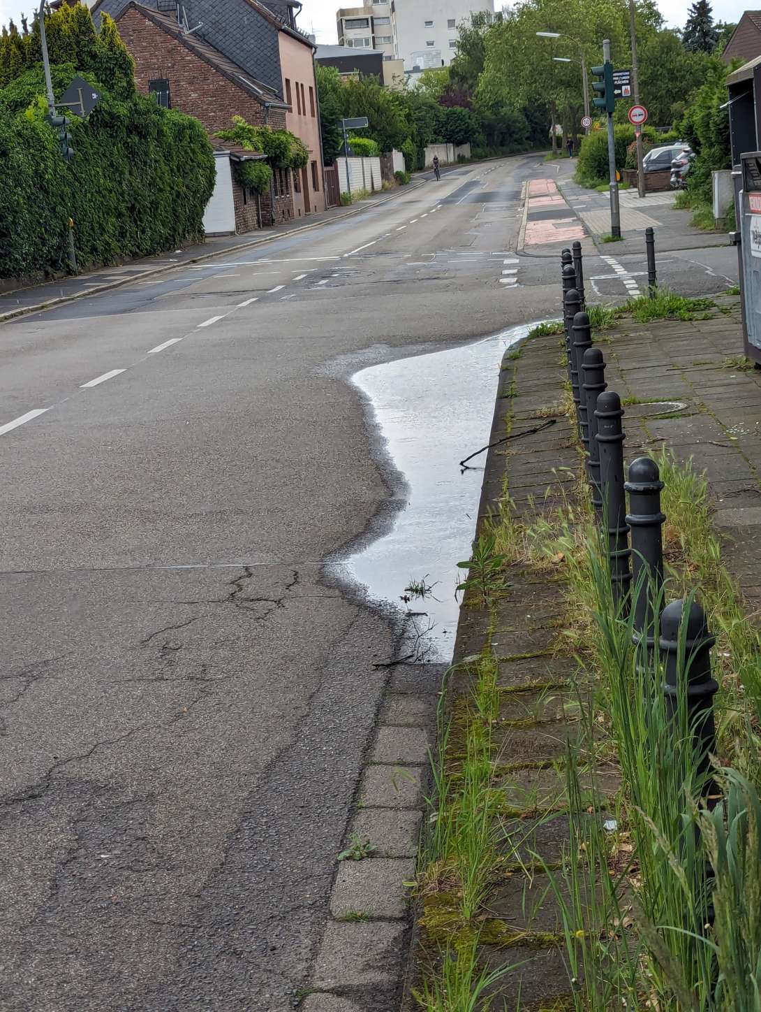 Bild zu gemeldetem Anliegen vom *2024-05-31 08:36:04