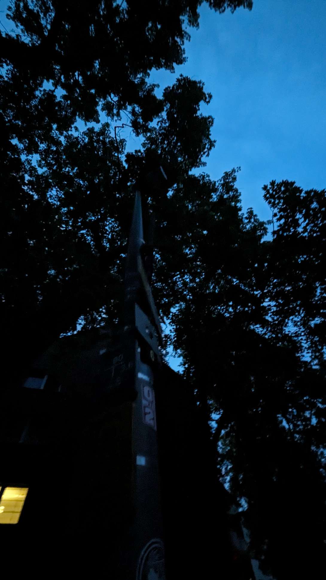 Bild zu gemeldetem Anliegen vom *2024-05-19 21:59:40