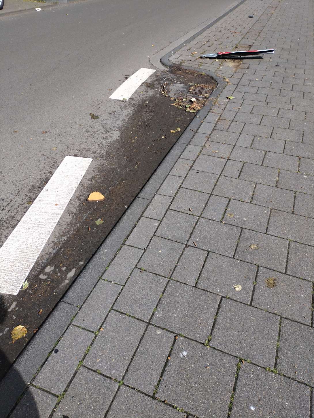 Bild zu gemeldetem Anliegen vom *2024-05-05 10:19:53