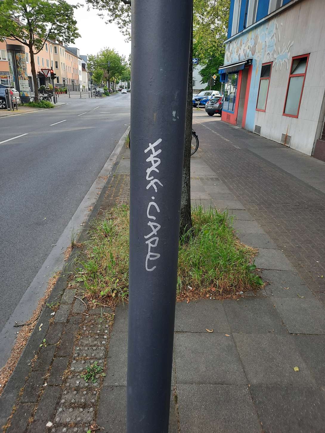Bild zu gemeldetem Anliegen vom *2024-05-01 18:44:31