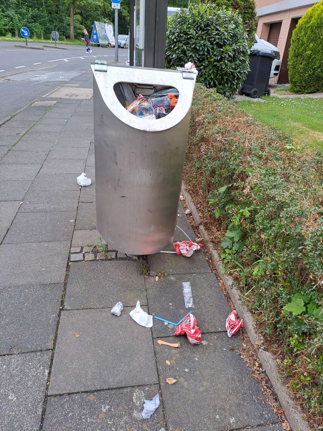 Bild zu gemeldetem Anliegen vom *2024-05-20 19:07:21