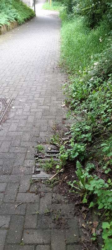 Bild zu gemeldetem Anliegen vom *2024-05-28 11:28:34