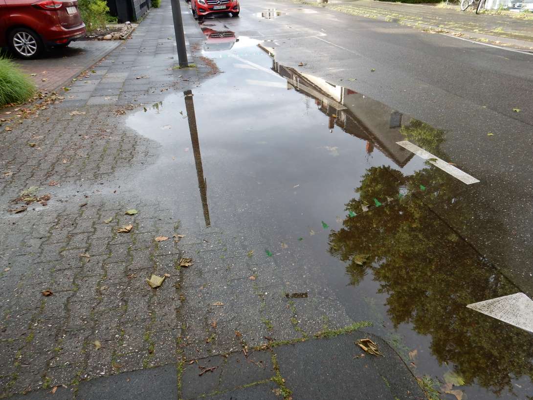 Bild zu gemeldetem Anliegen vom *2024-05-31 08:24:25