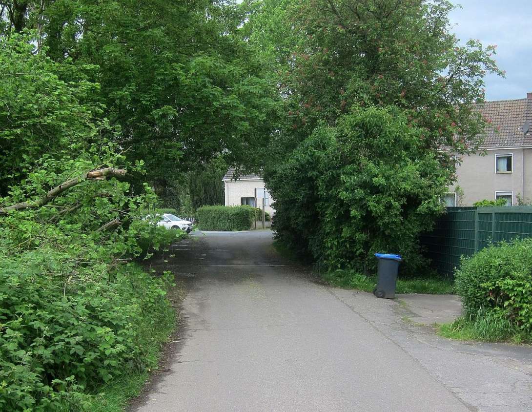 Bild zu gemeldetem Anliegen vom *2024-05-06 12:21:56