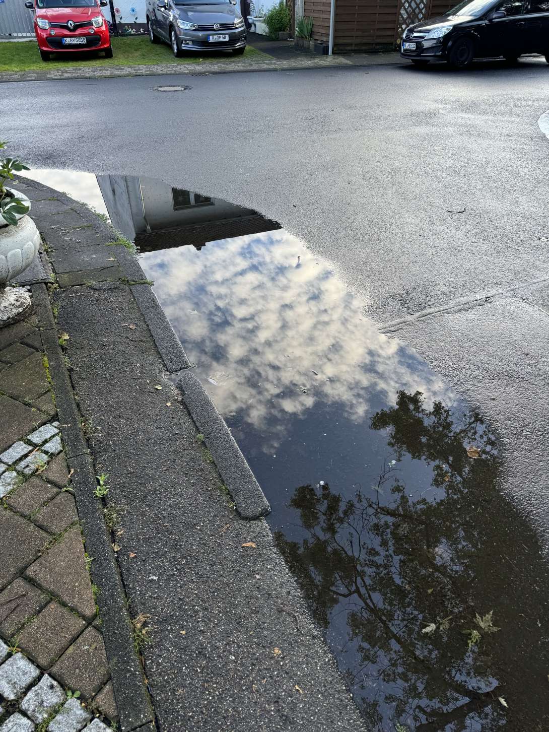 Bild zu gemeldetem Anliegen vom *2024-06-17 16:39:14