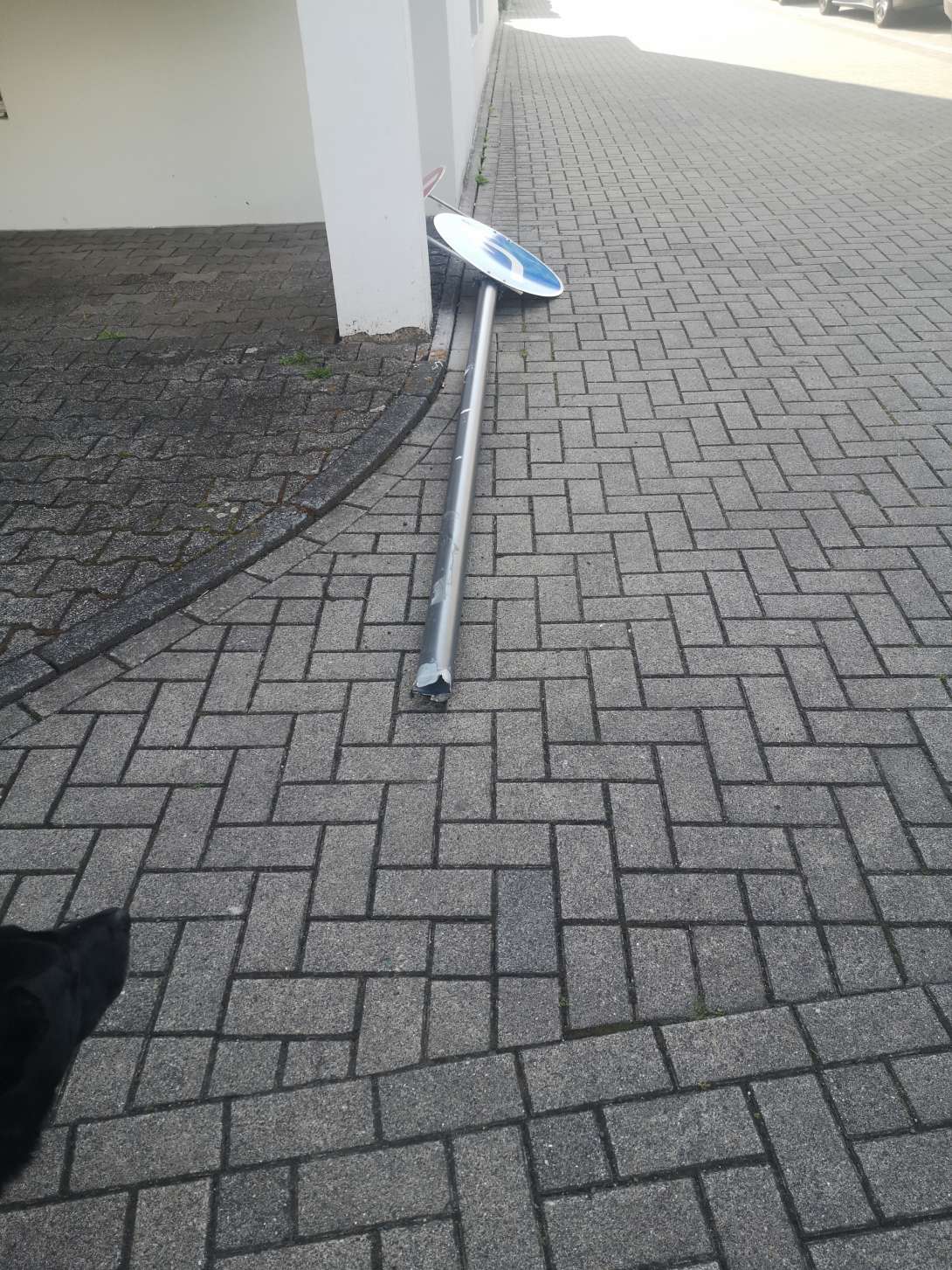 Bild zu gemeldetem Anliegen vom *2024-05-11 20:07:51