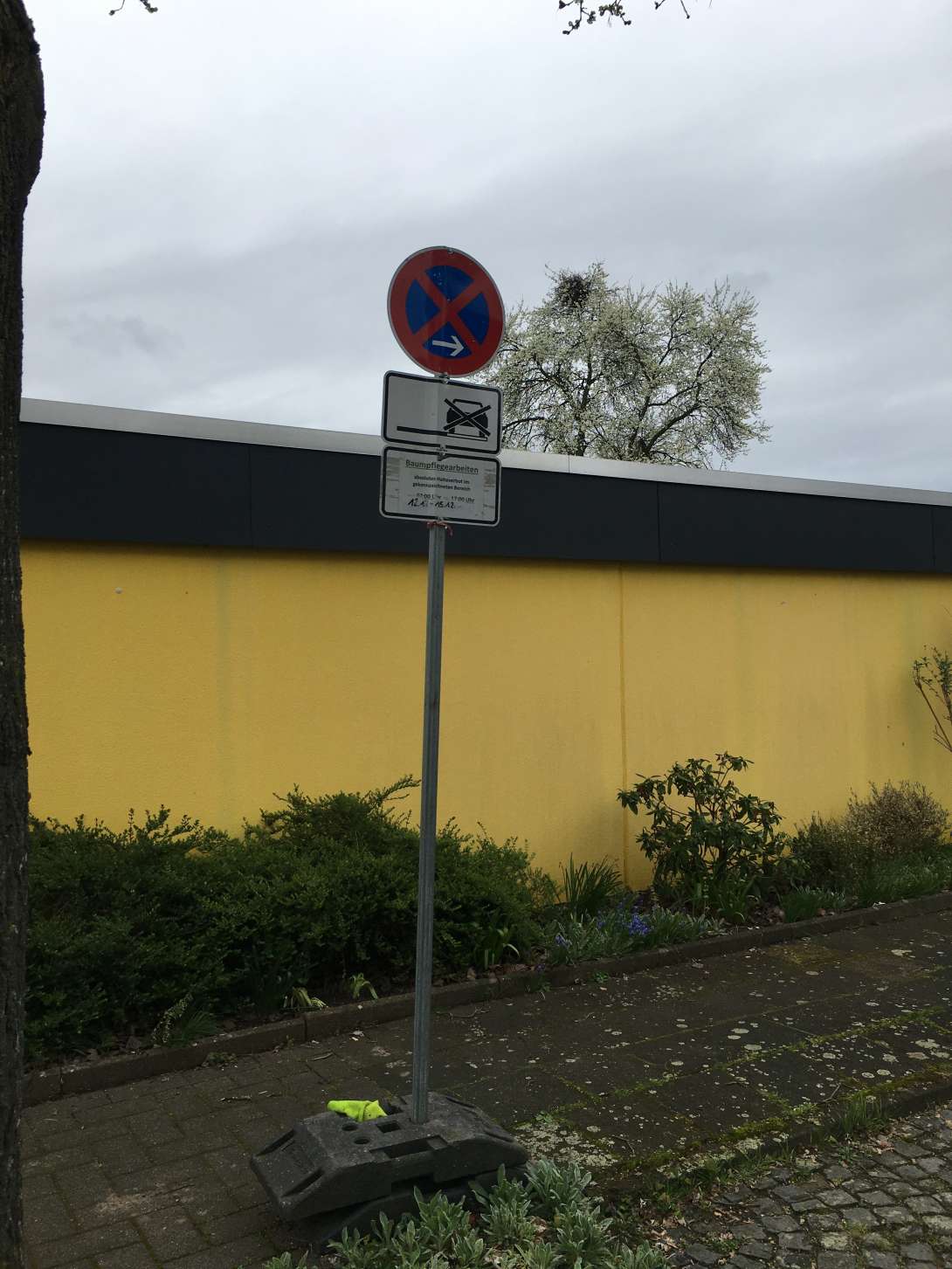 Bild zu gemeldetem Anliegen vom *2024-05-27 07:22:13