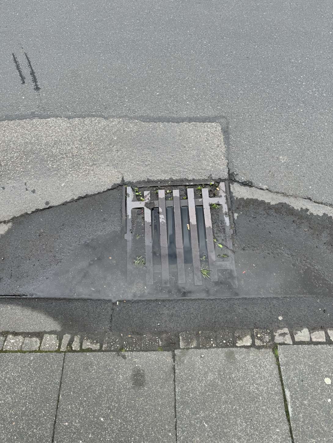 Bild zu gemeldetem Anliegen vom *2024-05-31 09:09:59