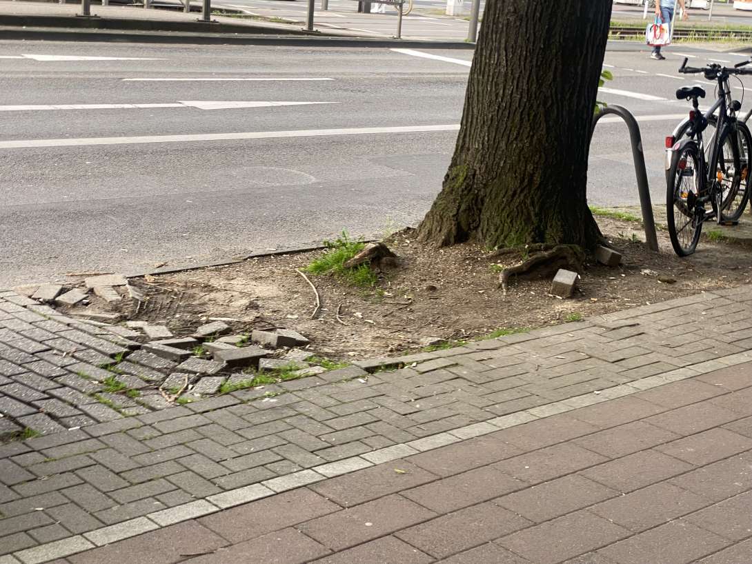 Bild zu gemeldetem Anliegen vom *2024-05-10 19:11:52