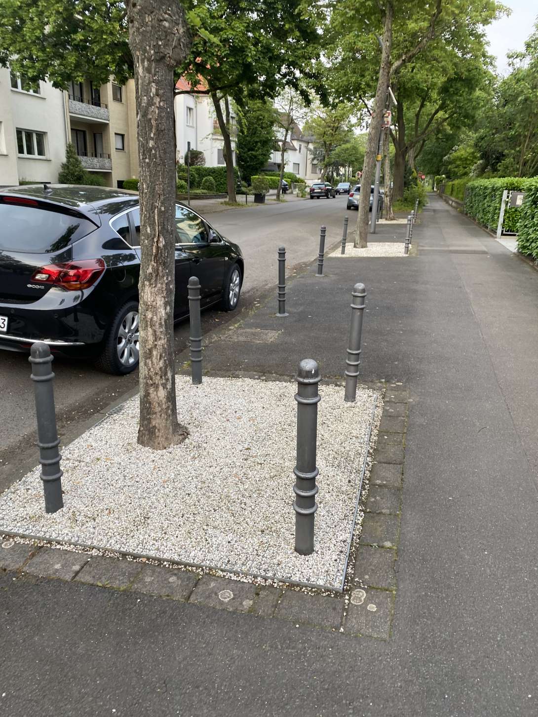Bild zu gemeldetem Anliegen vom *2024-05-10 19:52:46