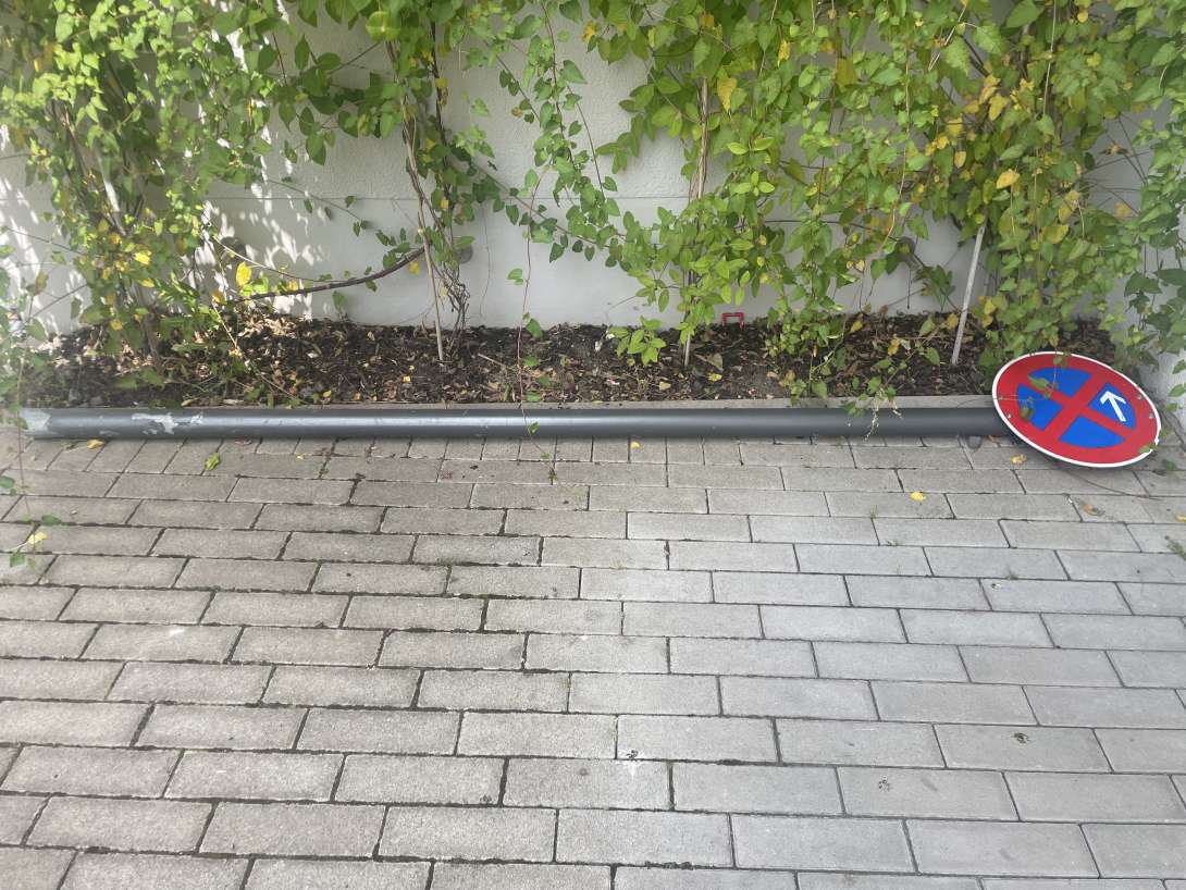 Bild zu gemeldetem Anliegen vom *2024-06-06 14:10:46