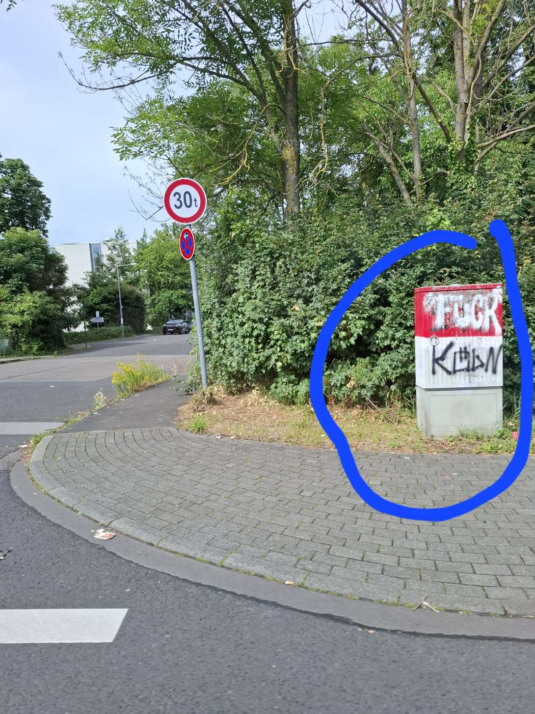 Bild zu gemeldetem Anliegen vom *2024-06-18 10:43:03