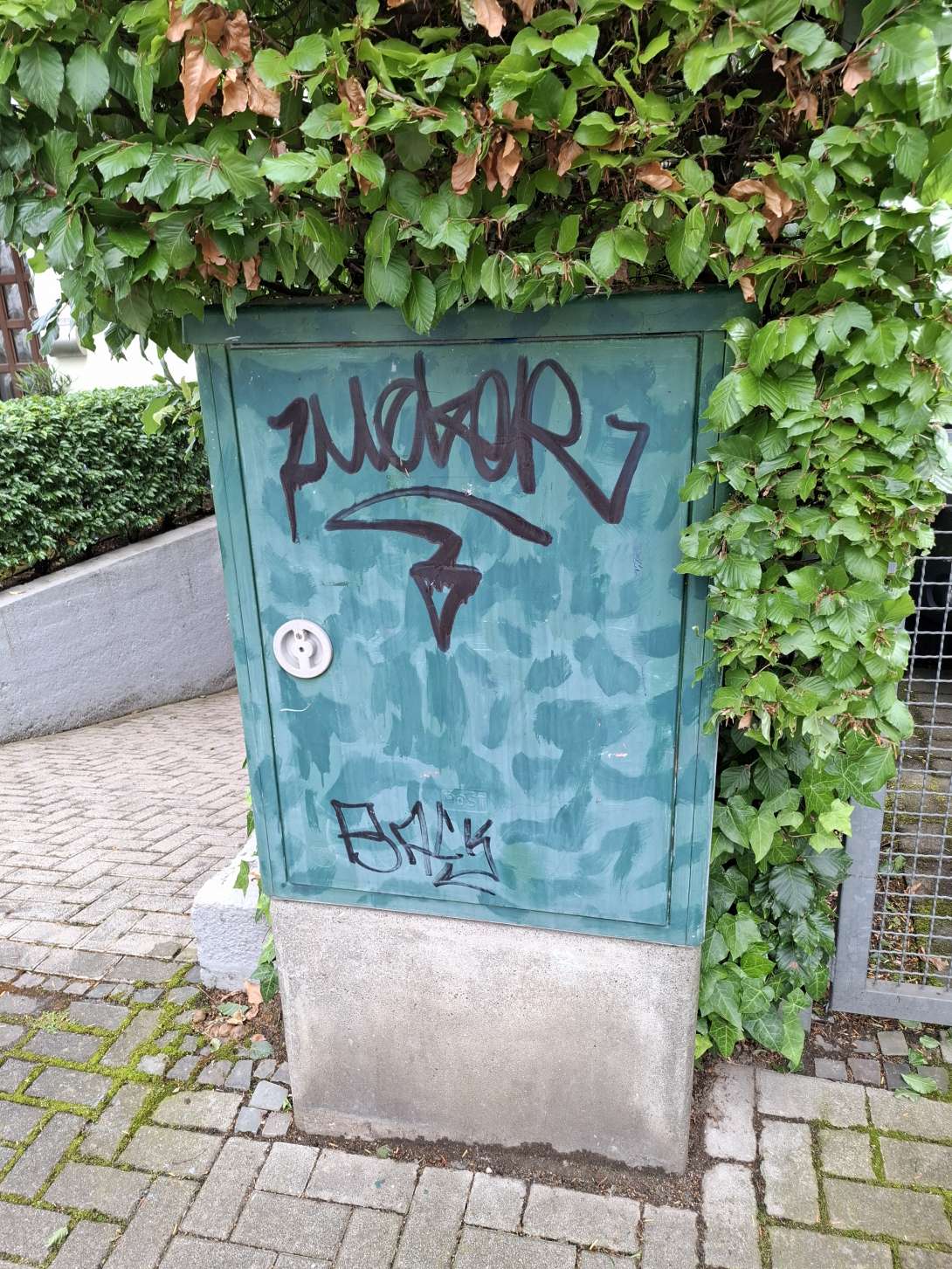 Bild zu gemeldetem Anliegen vom *2024-06-18 11:03:18