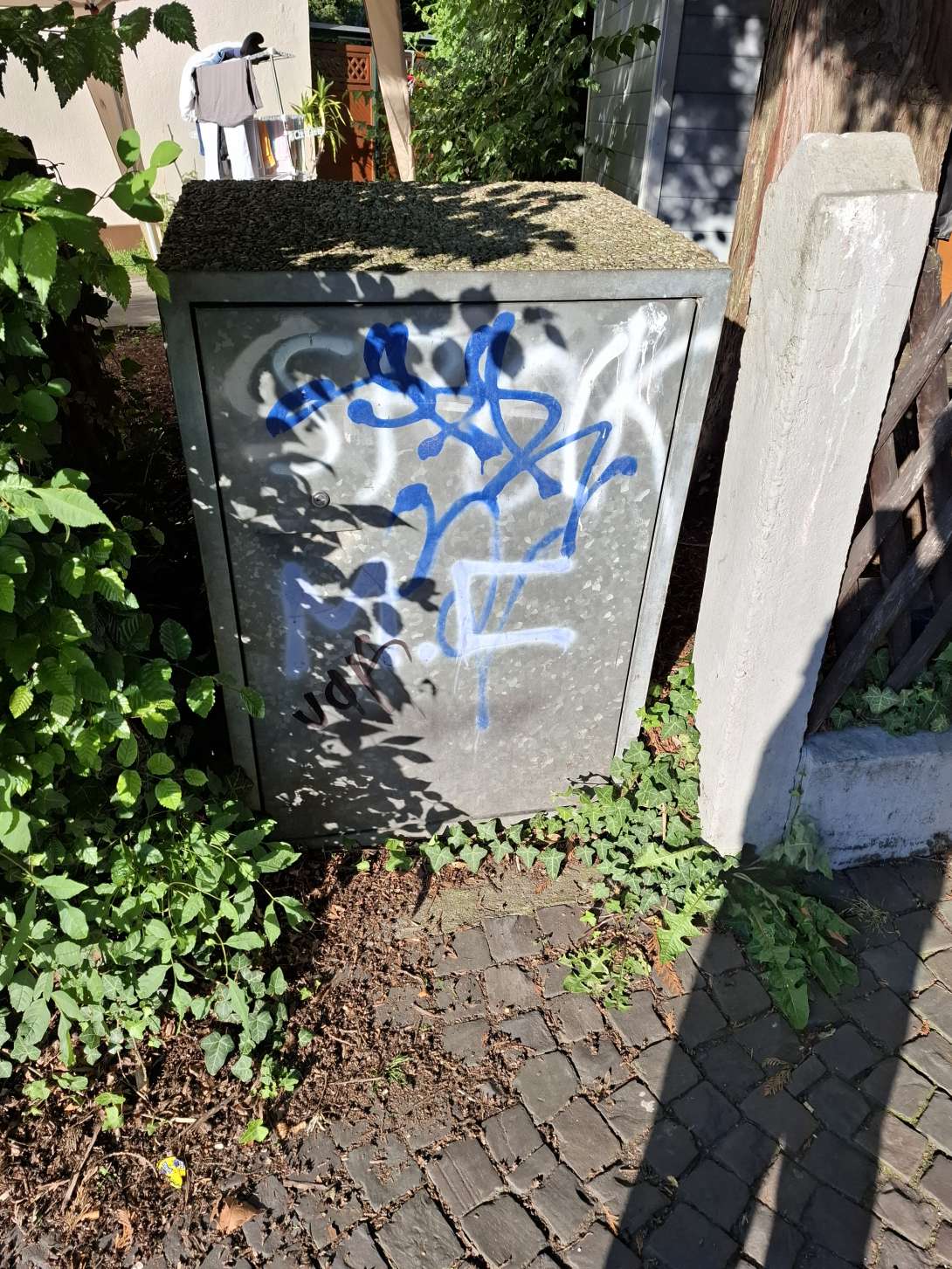 Bild zu gemeldetem Anliegen vom *2024-06-25 19:25:37