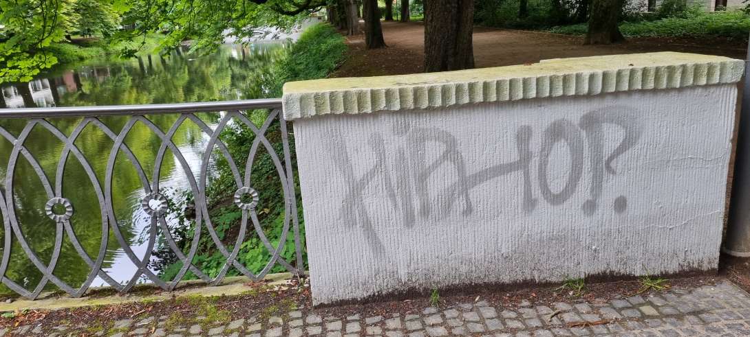 Bild zu gemeldetem Anliegen vom *2024-06-15 19:29:22
