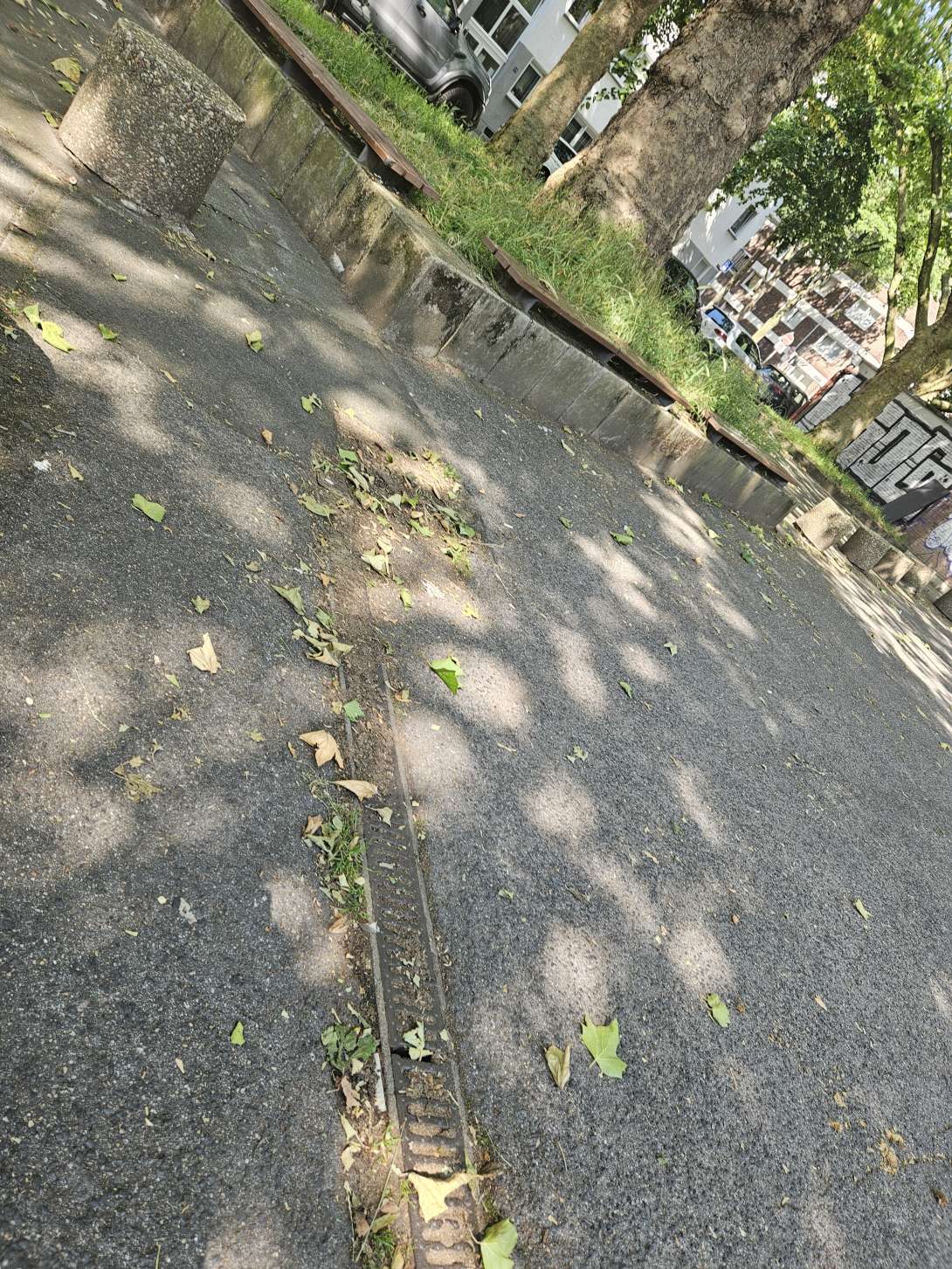 Bild zu gemeldetem Anliegen vom *2024-06-06 16:52:08