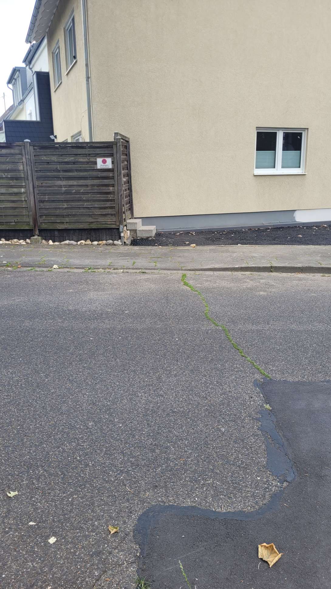 Bild zu gemeldetem Anliegen vom *2024-06-24 13:59:51