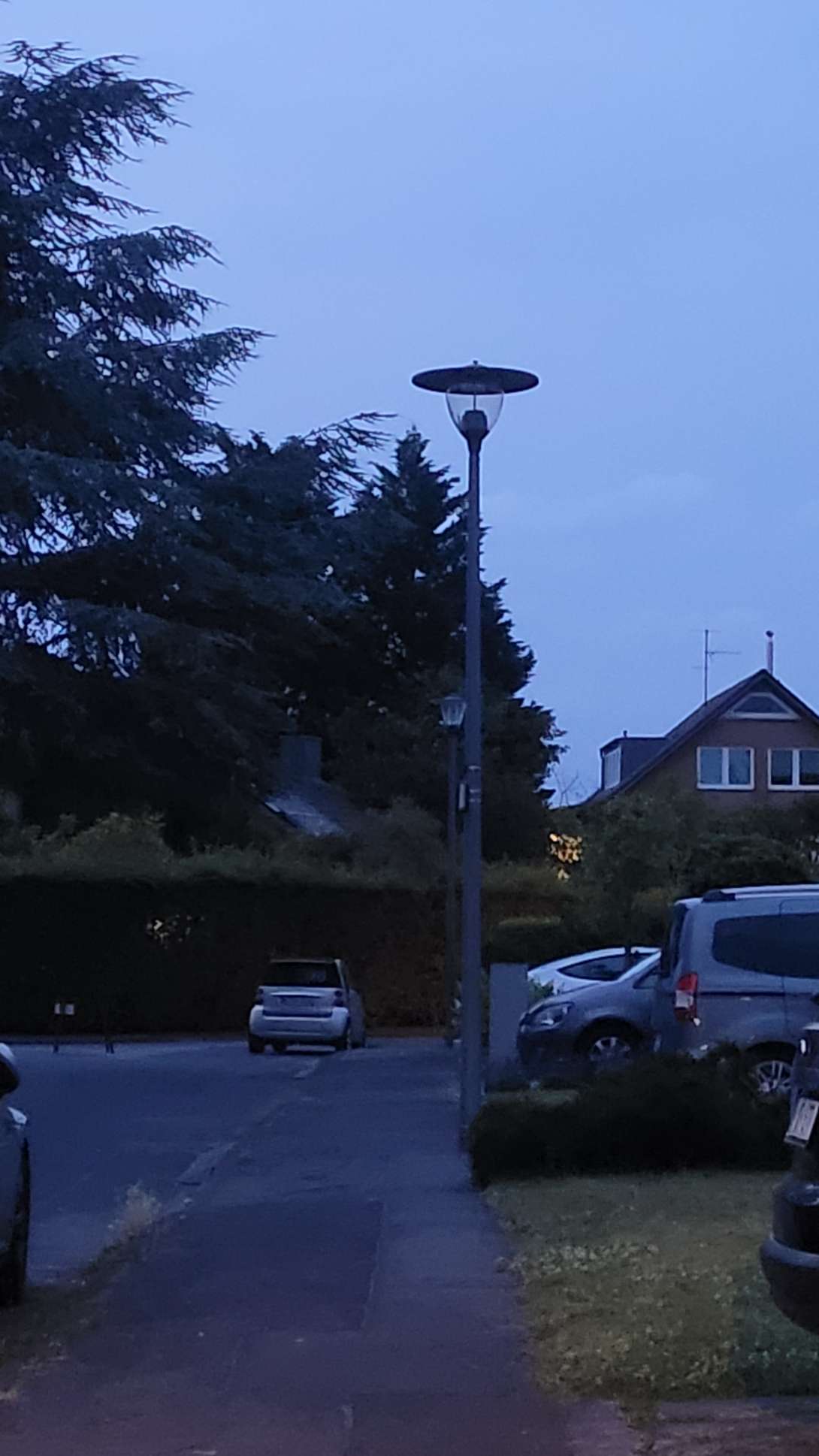 Bild zu gemeldetem Anliegen vom *2024-06-29 22:20:03