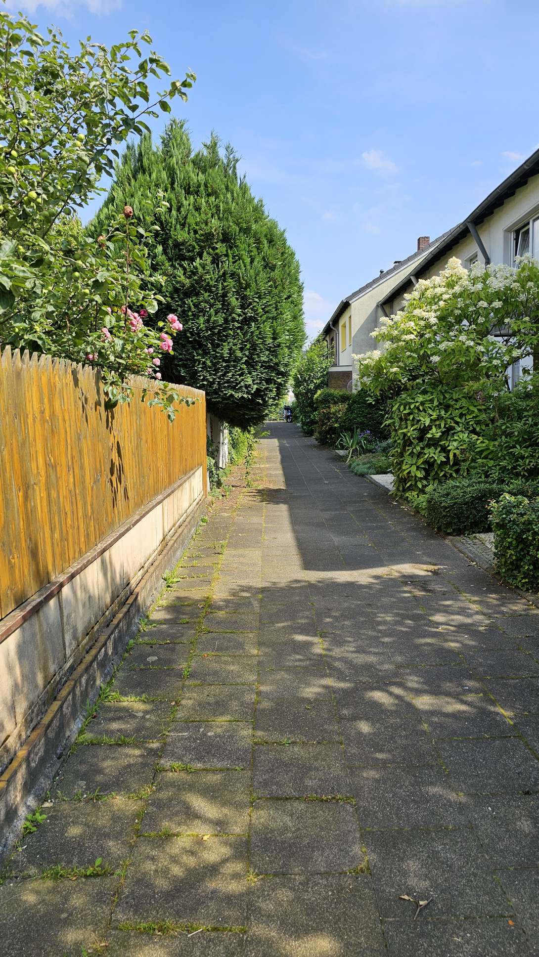 Bild zu gemeldetem Anliegen vom *2024-06-27 18:53:59