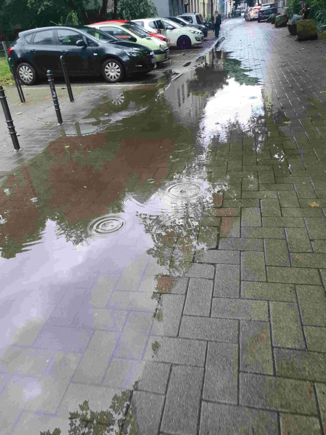 Bild zu gemeldetem Anliegen vom *2024-06-20 10:07:14