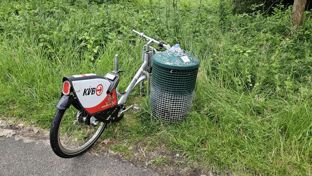 Bild zu gemeldetem Anliegen vom *2024-06-24 10:51:46