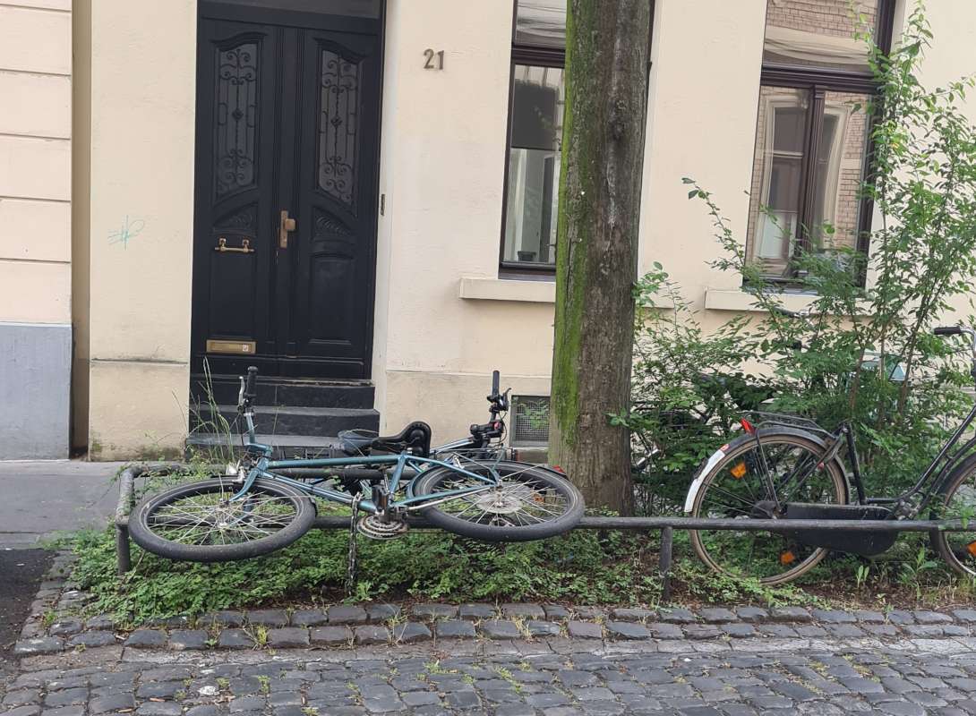 Bild zu gemeldetem Anliegen vom *2024-06-24 17:29:44