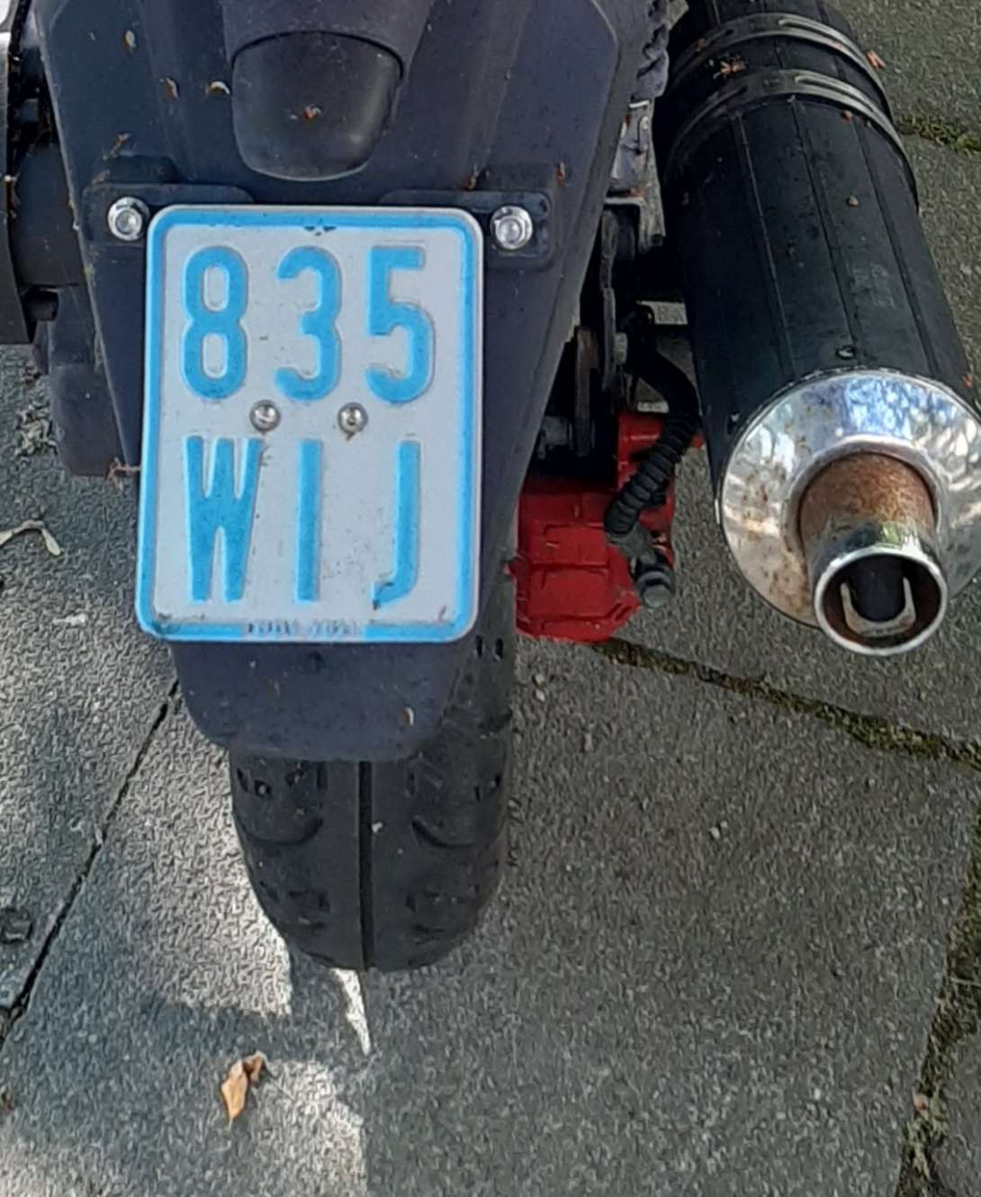 Bild zu gemeldetem Anliegen vom *2024-06-26 14:57:24