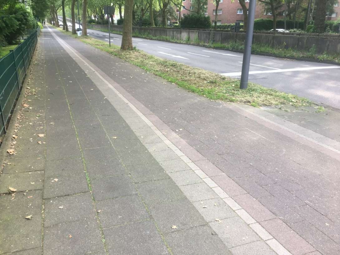 Bild zu gemeldetem Anliegen vom *2024-06-03 16:17:41