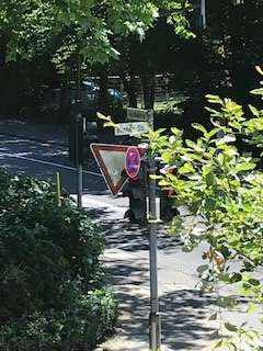 Bild zu gemeldetem Anliegen vom *2024-06-26 07:17:53