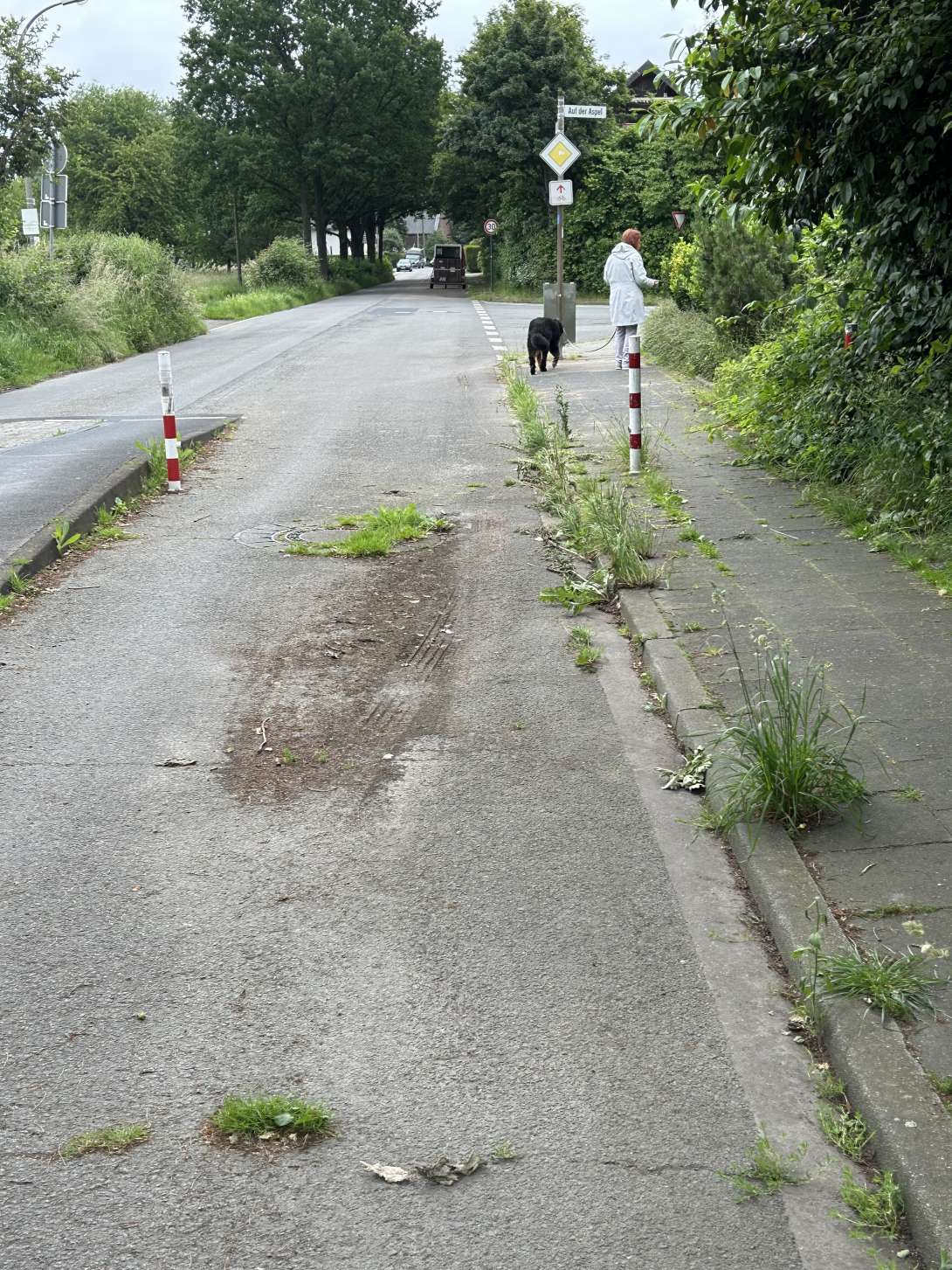 Bild zu gemeldetem Anliegen vom *2024-06-06 08:34:27