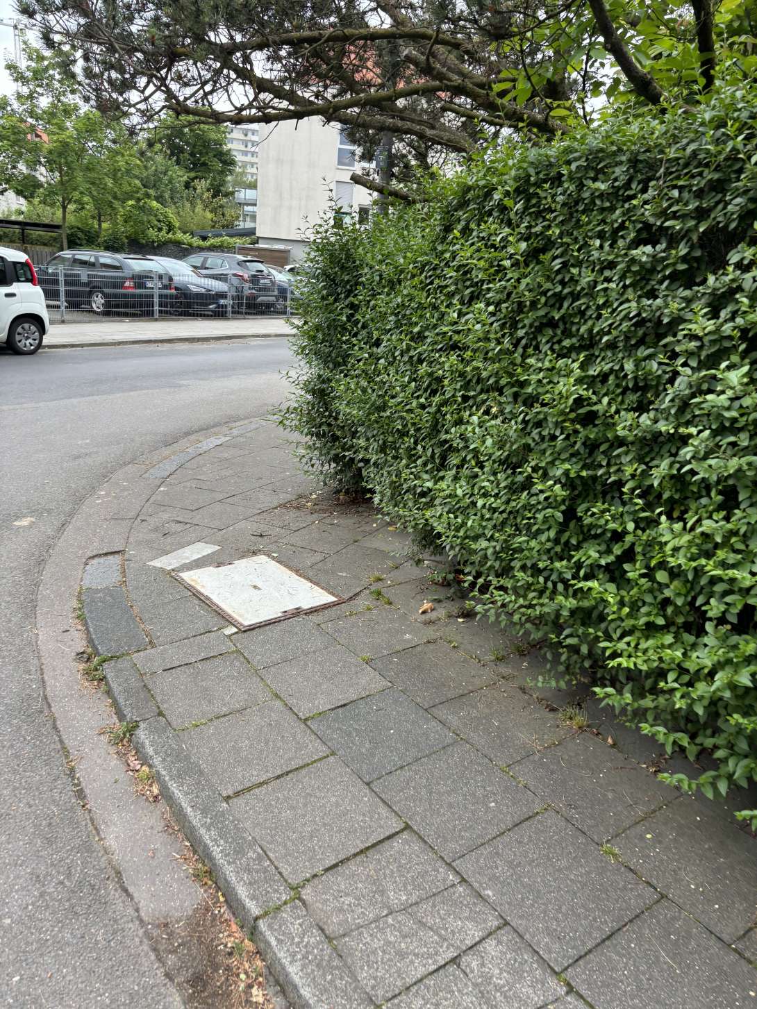 Bild zu gemeldetem Anliegen vom *2024-06-13 11:49:16