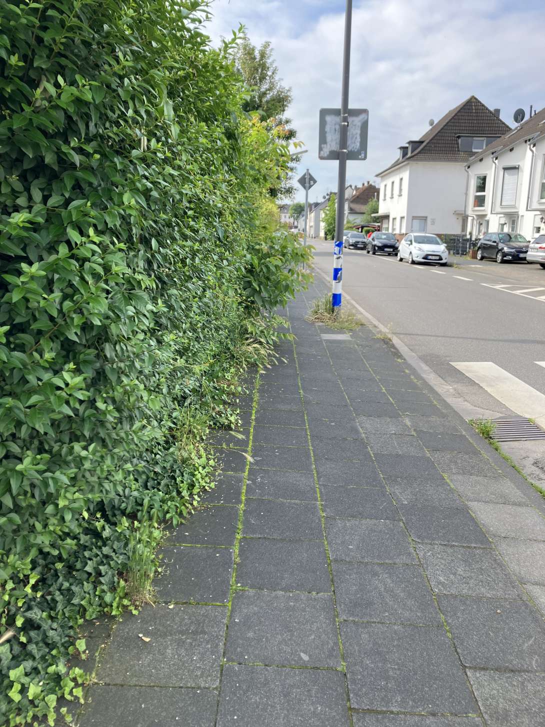 Bild zu gemeldetem Anliegen vom *2024-06-04 10:34:54