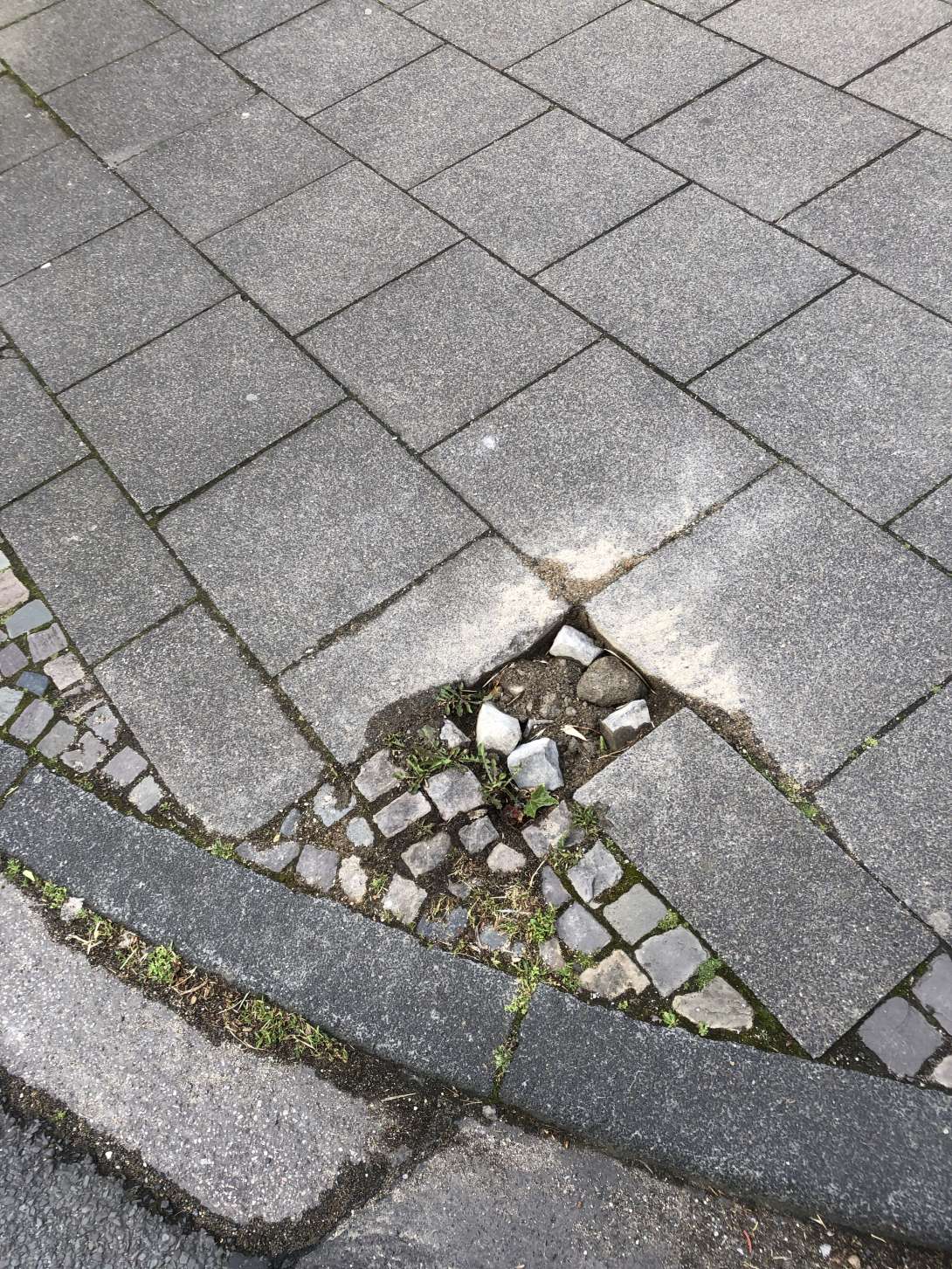 Bild zu gemeldetem Anliegen vom *2024-06-12 15:44:59