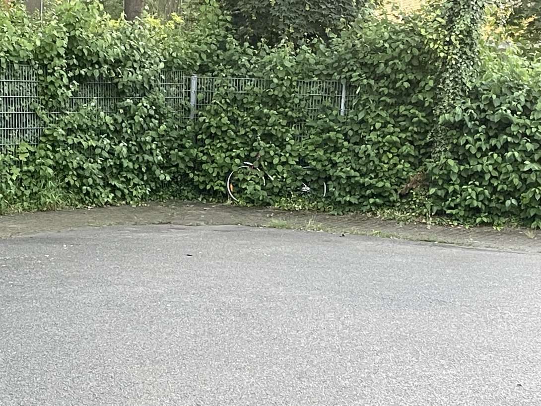 Bild zu gemeldetem Anliegen vom *2024-07-18 09:14:39