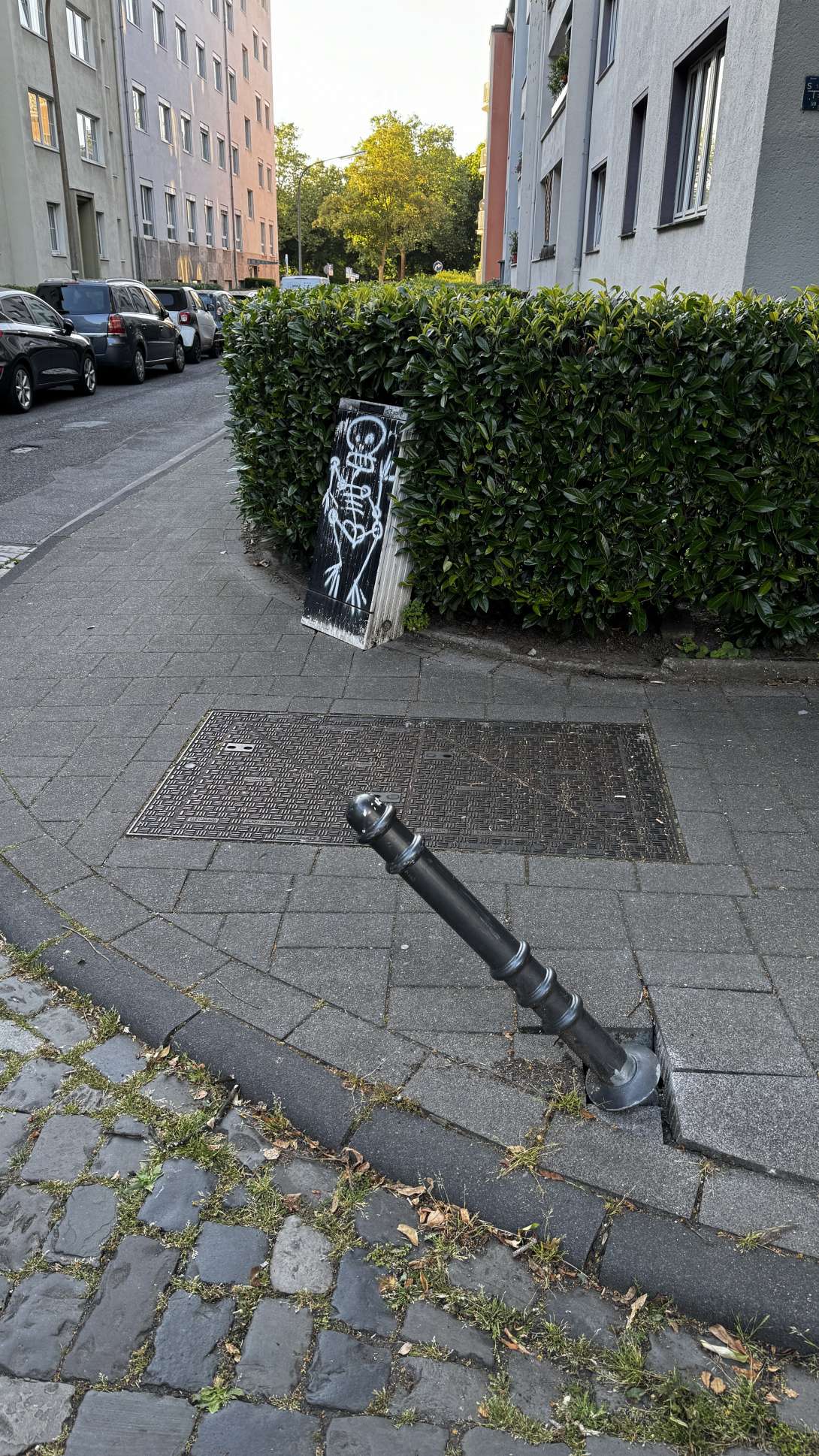 Bild zu gemeldetem Anliegen vom *2024-06-14 11:35:41