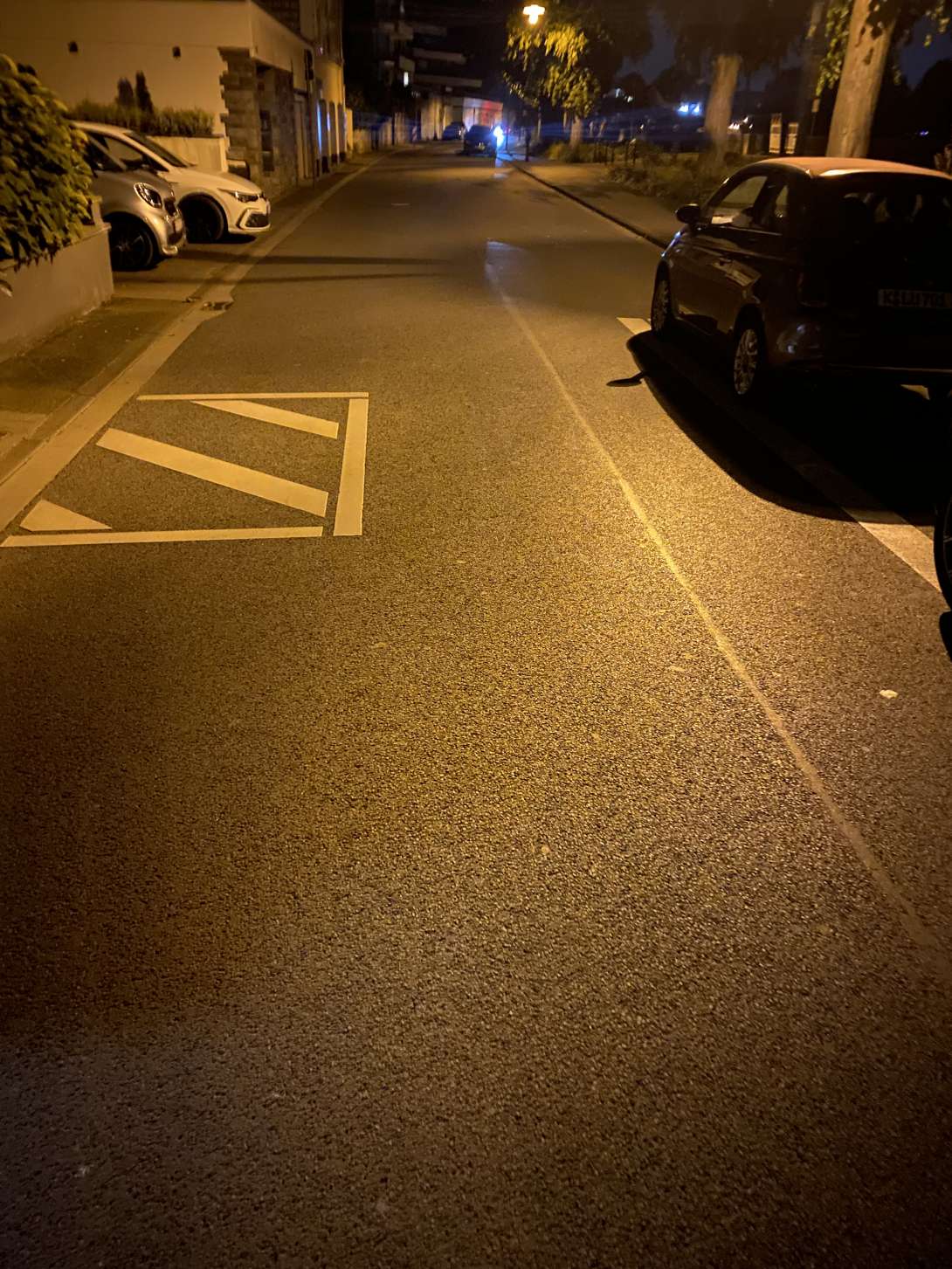 Bild zu gemeldetem Anliegen vom *2024-06-08 01:47:23